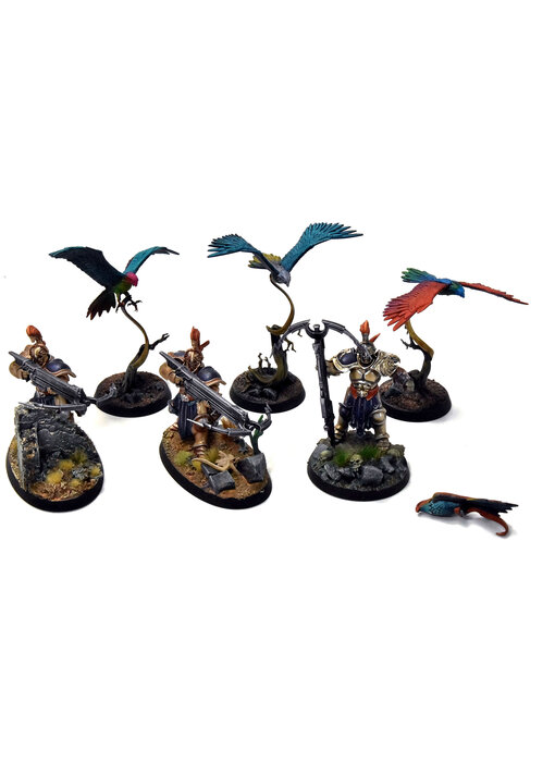 STORMCAST ETERNALS 6 Vanguard Raptors #1 WELL PAINTED Sigmar