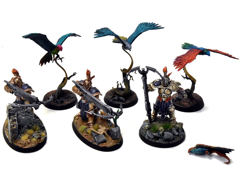 Games Workshop STORMCAST ETERNALS 6 Vanguard Raptors #1 WELL PAINTED Sigmar