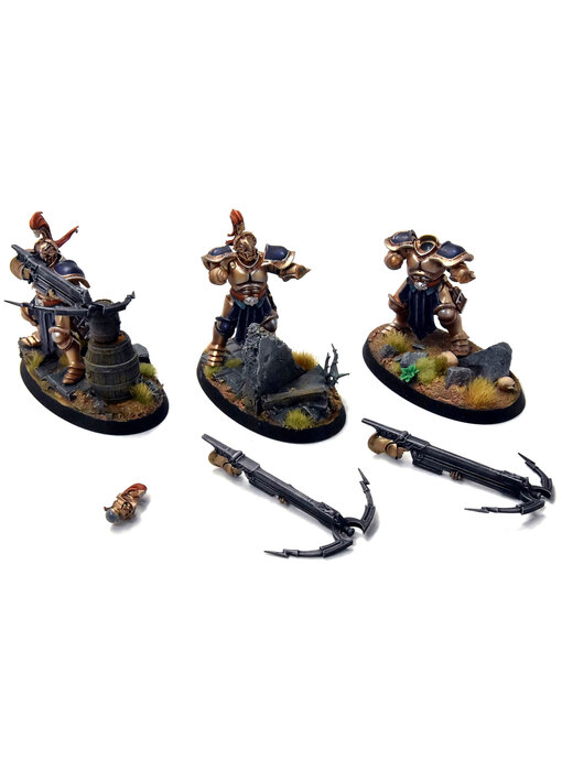 STORMCAST ETERNALS 3 Vanguard Raptors #2 no bird need repair WELL PAINTED Sigmar