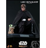 Sideshow Luke Skywalker (special Edition) Sixth Scale Figure by Hot Toys
