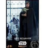 Sideshow Luke Skywalker (special Edition) Sixth Scale Figure by Hot Toys