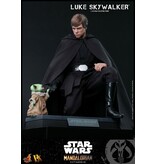 Sideshow Luke Skywalker (special Edition) Sixth Scale Figure by Hot Toys