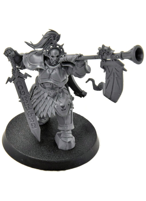 STORMCAST ETERNALS Knight Heraldor #1 Sigmar