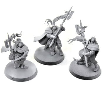 STORMCAST ETERNALS 3 Praetor #1 Heavy Paint Sigmar