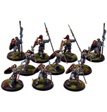 Games Workshop STORMCAST ETERNALS 10 Vindictors #1 PRO PAINTED Sigmar