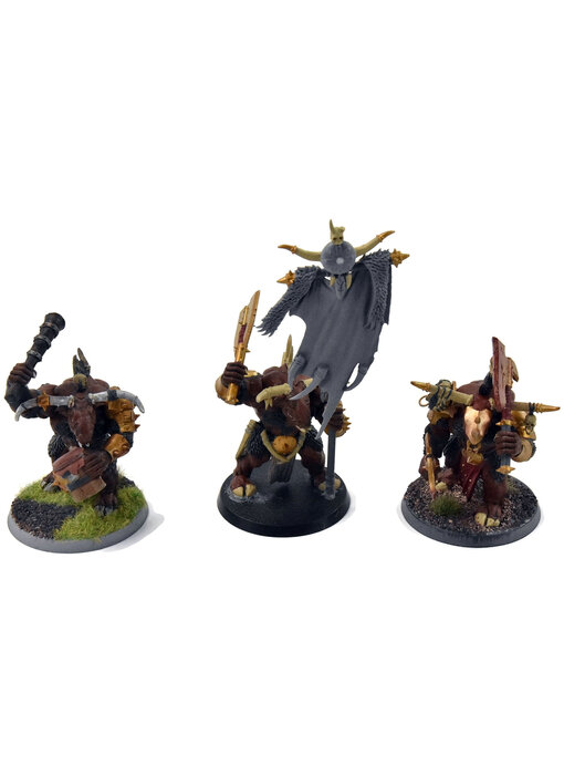 BEASTS OF CHAOS 3 Bullgors #2 Sigmar