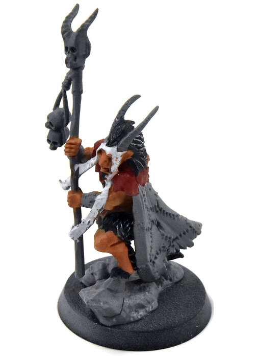 BEASTS OF CHAOS Great-Bray Shaman #1 Sigmar