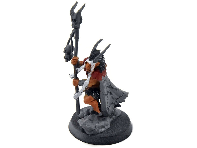 Games Workshop BEASTS OF CHAOS Great-Bray Shaman #1 Sigmar