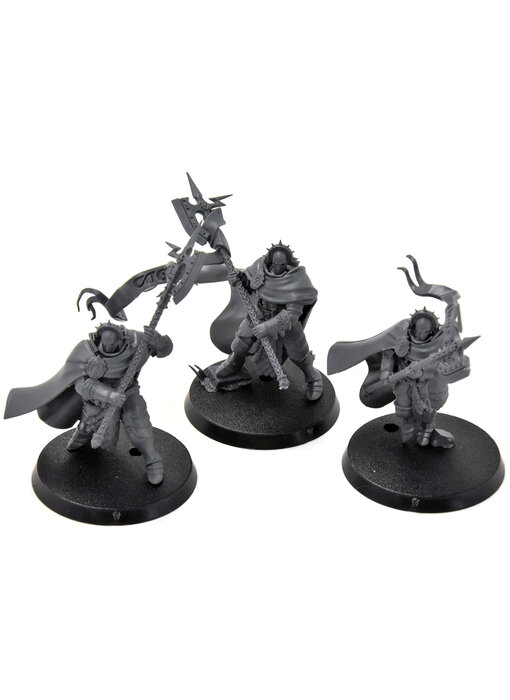 STORMCAST ETERNALS 3 Praetor #1 Sigmar