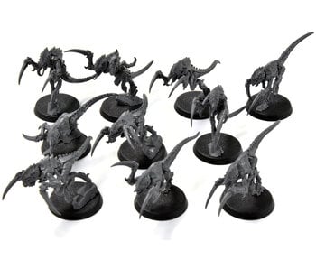 STORMCAST ETERNALS 10 Hormagaunts #1 Sigmar