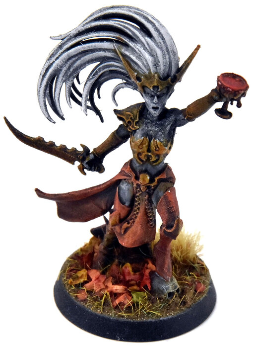 DAUGHTERS OF KHAINE Hag Queen #1 WELL PAINTED Sigmar