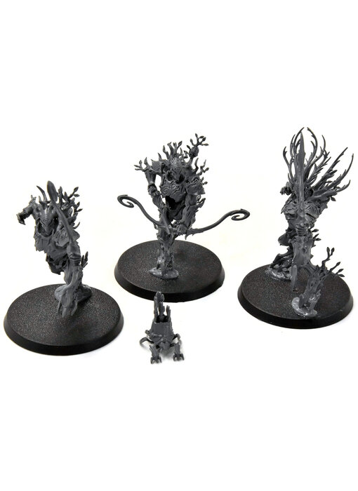 SYLVANETH 3 Kurnoth Hunters #1 Sigmar