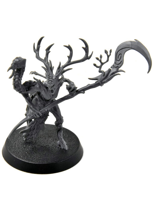 SYLVANETH Branchwych #1 Sigmar