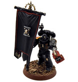 Games Workshop DEATHWATCH Company Ancient #1 WELL PAINTED Warhammer 40K