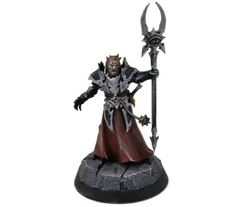 SLAVES TO DARKNESS Chaos Sorcerer Lord #1 WELL PAINTED Warhammer Sigmar