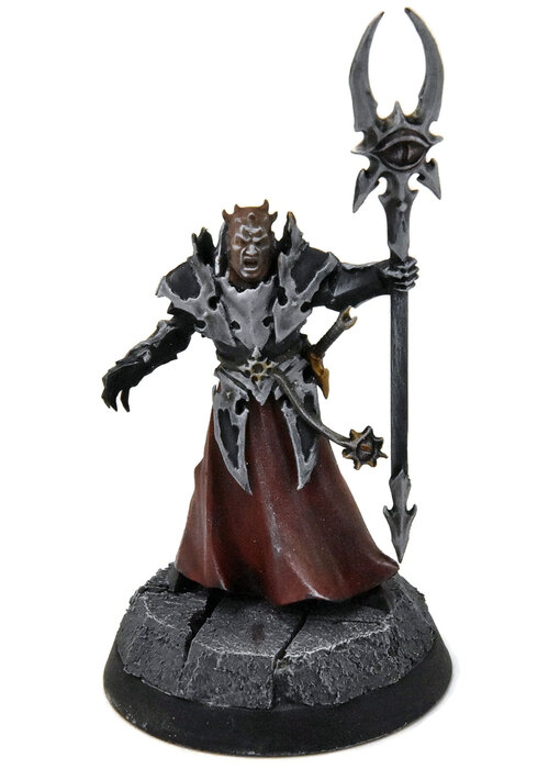 SLAVES TO DARKNESS Chaos Sorcerer Lord #1 WELL PAINTED Warhammer Sigmar