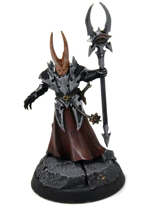 SLAVES TO DARKNESS Chaos Sorcerer Lord #2 WELL PAINTED Warhammer Sigmar