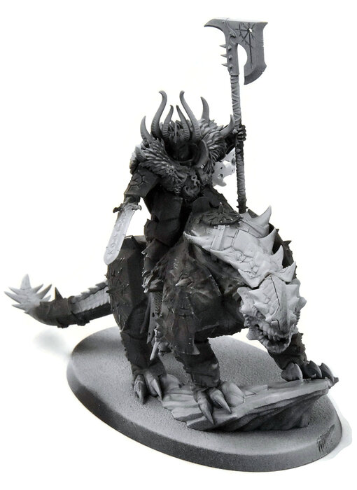 SLAVES TO DARKNESS Lord On Karkadrak #2 Warhammer Sigmar