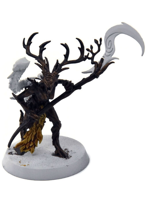 SYLVANETH Branchwych #1 Warhammer 40K