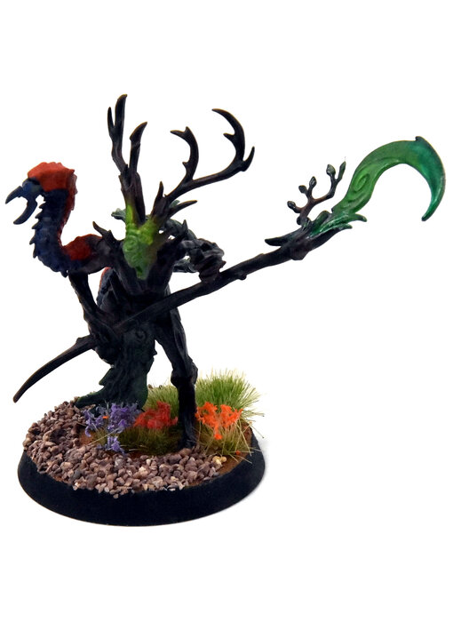 SYLVANETH Branchwych #1 WELL PAINTED Warhammer 40K