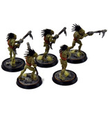 Games Workshop TAU EMPIRE 5 Kroot Carnivores #4 WELL PAINTED Warhammer 40K