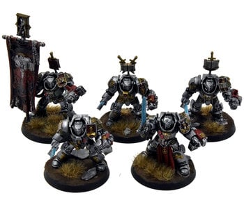 GREY KNIGHTS 5 Paladin Terminator #4 WELL PAINTED Warhammer 40K