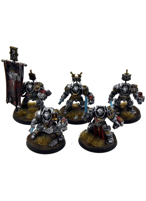 GREY KNIGHTS 5 Paladin Terminator #4 WELL PAINTED Warhammer 40K