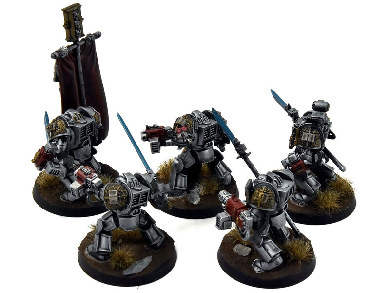 Games Workshop GREY KNIGHTS 5 Paladin Terminators #1 WELL PAINTED Warhammer 40K