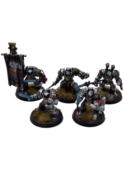 GREY KNIGHTS 5 Paladin Terminators #1 WELL PAINTED Warhammer 40K