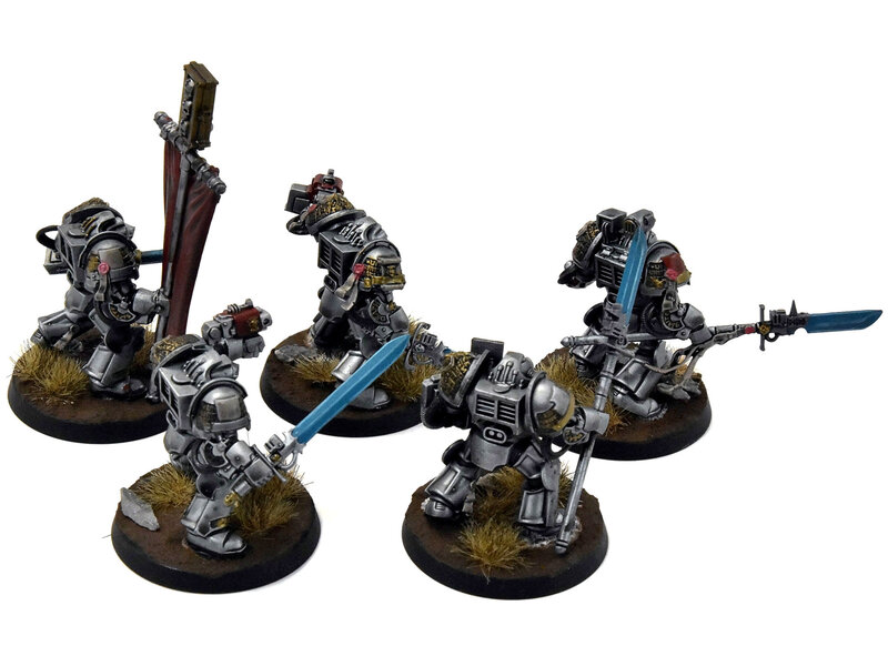 Games Workshop GREY KNIGHTS 5 Paladin Terminators #1 WELL PAINTED Warhammer 40K