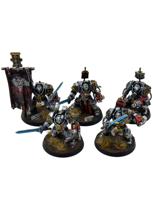 GREY KNIGHTS 5 Paladin Terminators #2 WELL PAINTED Warhammer 40K