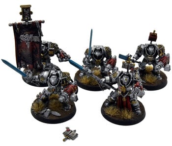 GREY KNIGHTS 5 Paladin Terminators #3 WELL PAINTED Warhammer 40K