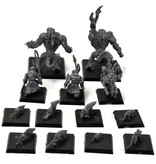 Games Workshop SKAVEN Rat Ogre Packmaster And Giant Rat #1 Fantasy