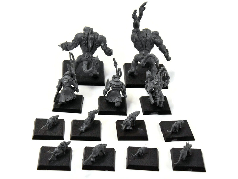 Games Workshop SKAVEN Rat Ogre Packmaster And Giant Rat #1 Fantasy