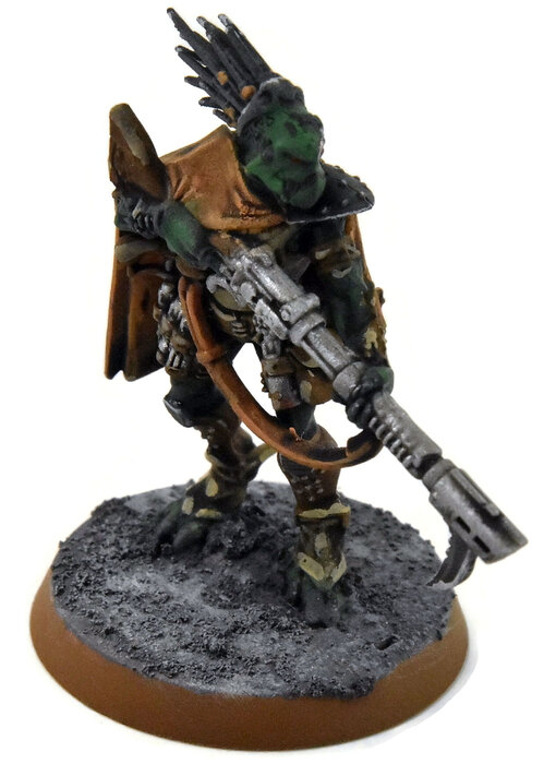 TAU EMPIRE Dahyak Grekh Kroot Tracker #1 PRO PAINTED Warhammer 40K