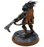 Games Workshop TAU EMPIRE Dahyak Grekh Kroot Tracker #1 PRO PAINTED Warhammer 40K