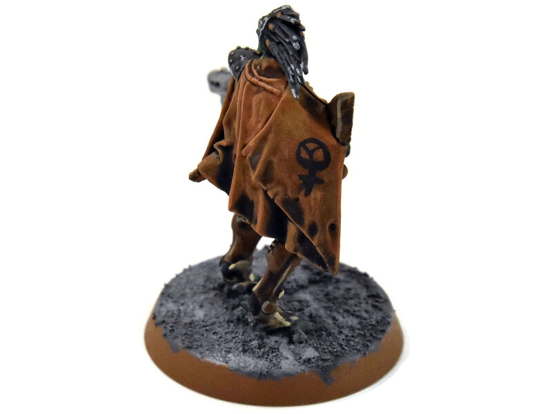 Games Workshop TAU EMPIRE Dahyak Grekh Kroot Tracker #1 PRO PAINTED Warhammer 40K
