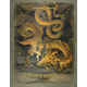 D&D 2024 Player's Handbook Alternative Cover