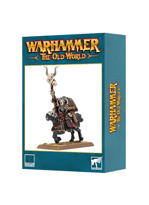 Warriors Of Chaos Sorcerer Lord On Chaos Steed