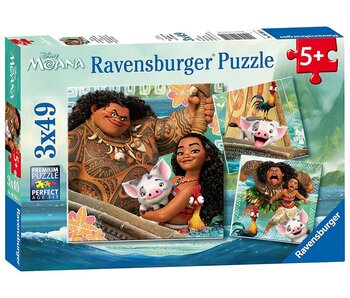 Born to Voyage  3 x 49 pc Puzzle