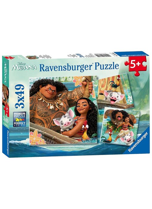 Born to Voyage  3 x 49 pc Puzzle