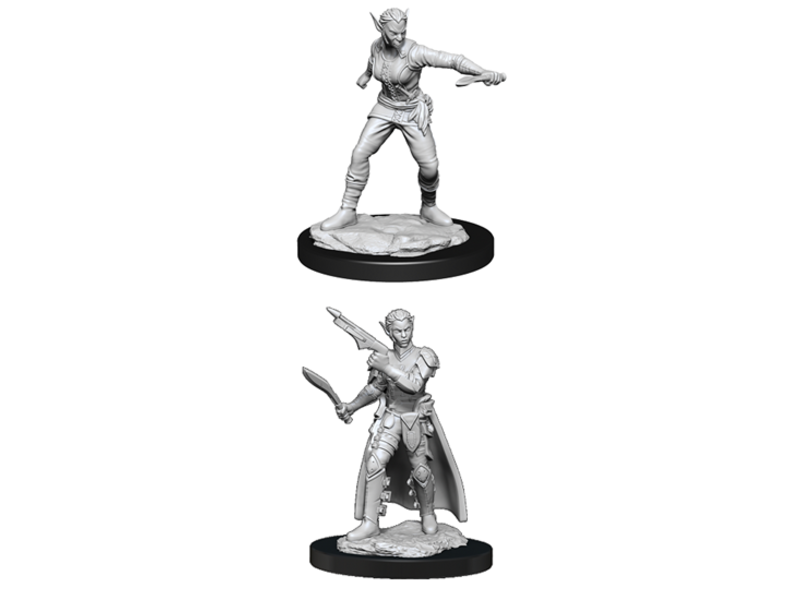 Wizkids D&D Unpainted Minis Wv13 Shifter Rogue Female