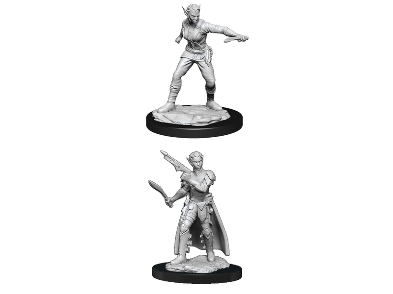 Wizkids D&D Unpainted Minis Wv13 Shifter Rogue Female