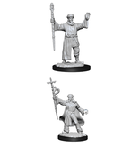 Wizkids D&D Unpainted Minis Wv13 Human Wizard Male