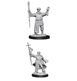 Wizkids D&D Unpainted Minis Wv13 Human Wizard Male