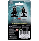 Wizkids D&D Unpainted Minis Wv12 Revenant