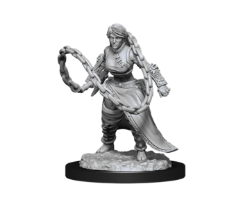D&D Unpainted Minis Wv14 Human Monk Female