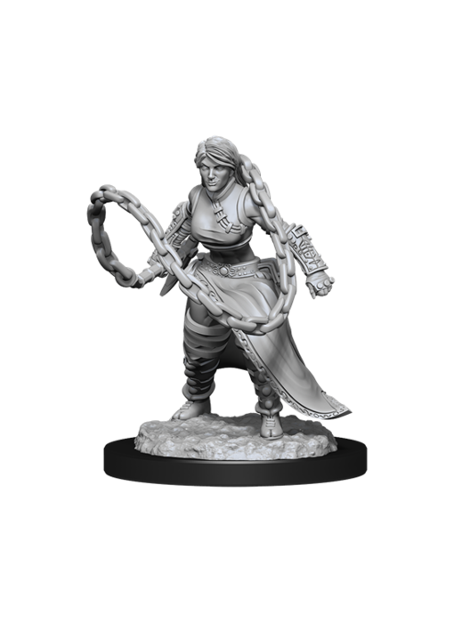 D&D Unpainted Minis Wv14 Human Monk Female