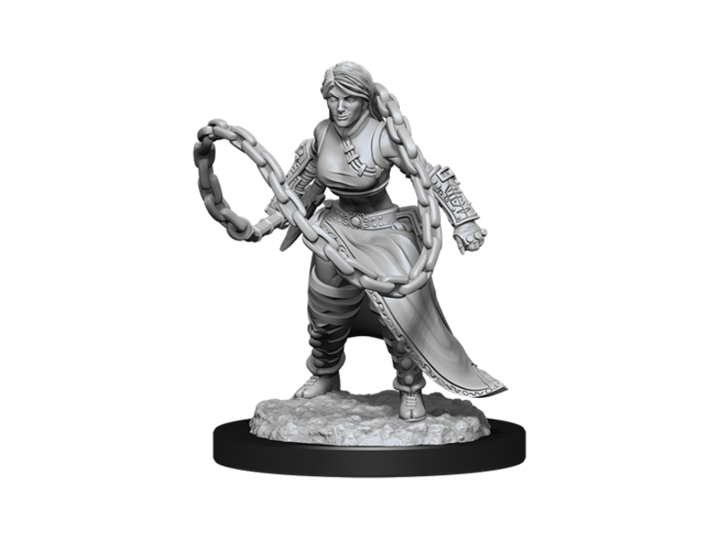 Wizkids D&D Unpainted Minis Wv14 Human Monk Female