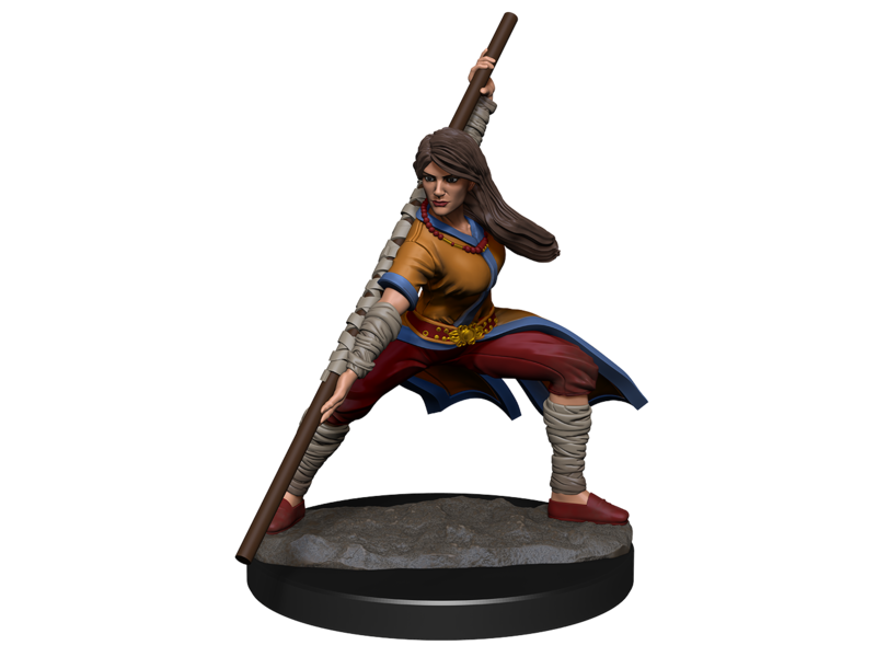Wizkids D&D Unpainted Minis Wv14 Human Monk Female